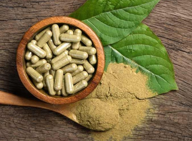 druhy kratomu